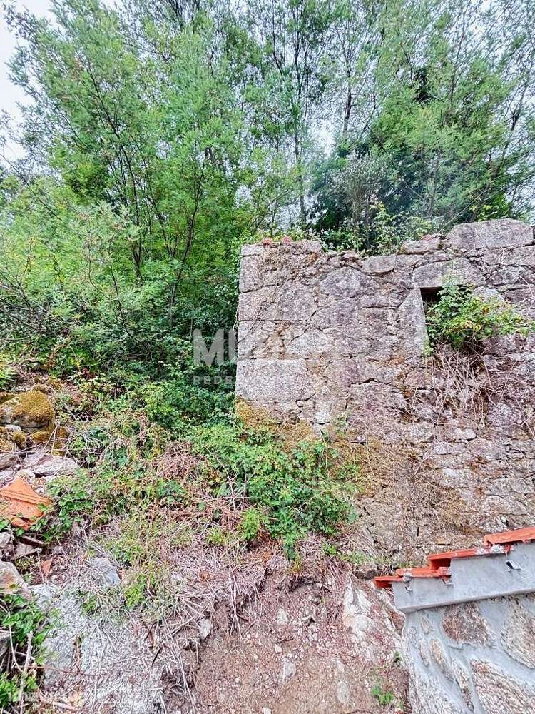 Moradia em Ruína com 411m2 de Terreno – Junqueira - Vale de Cambra - Grande imagem: 4/16