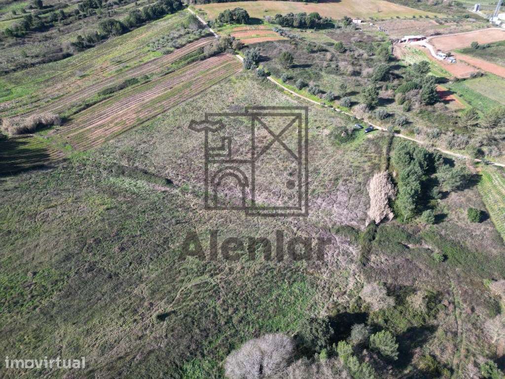 Excelente Terreno para Construir a Sua Quintinha de Sonho! - Grande imagem: 2/8