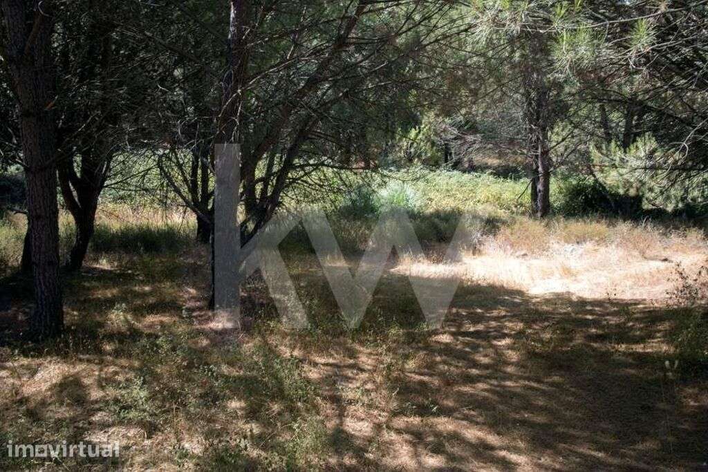 Terreno em Santo Estevão - Grande imagem: 5/13