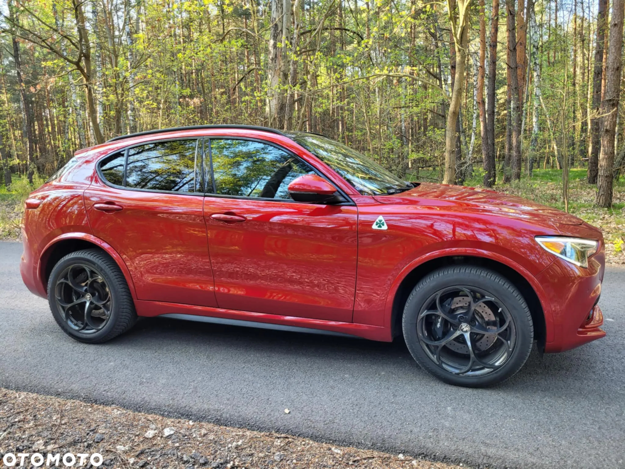 Alfa Romeo Stelvio V6 2.9 Bi-Turbo AT8-Q4 Quadrifoglio