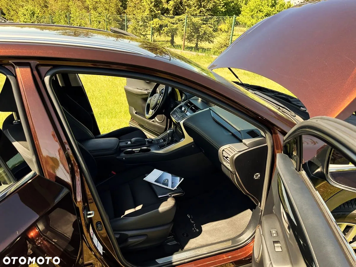 Lexus NX - 6