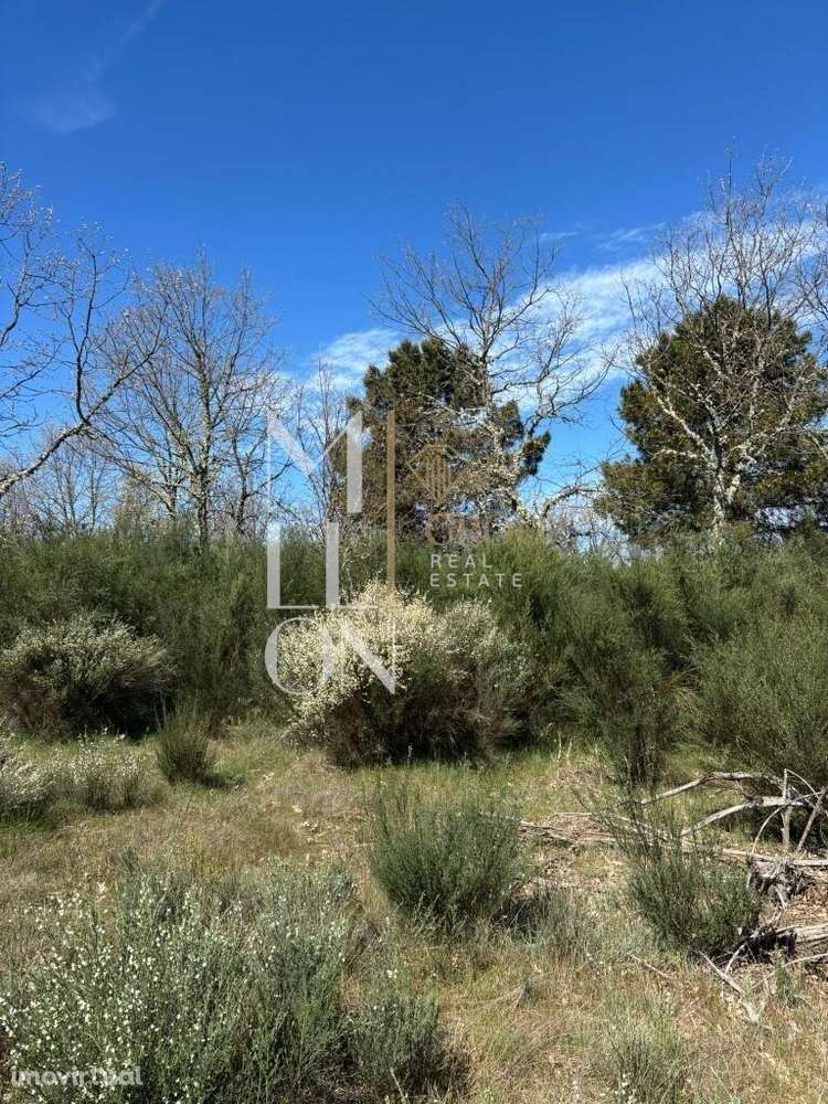 Terreno com 3 hectares às portas da cidade da Guarda - Grande imagem: 5/7