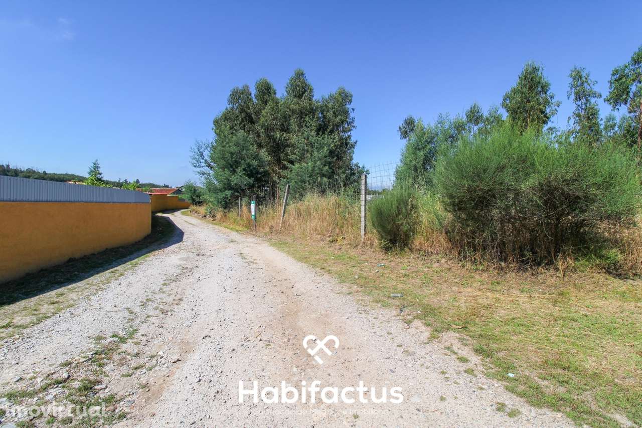 A apenas 5 minutos do centro de Tondela - Grande imagem: 3/27