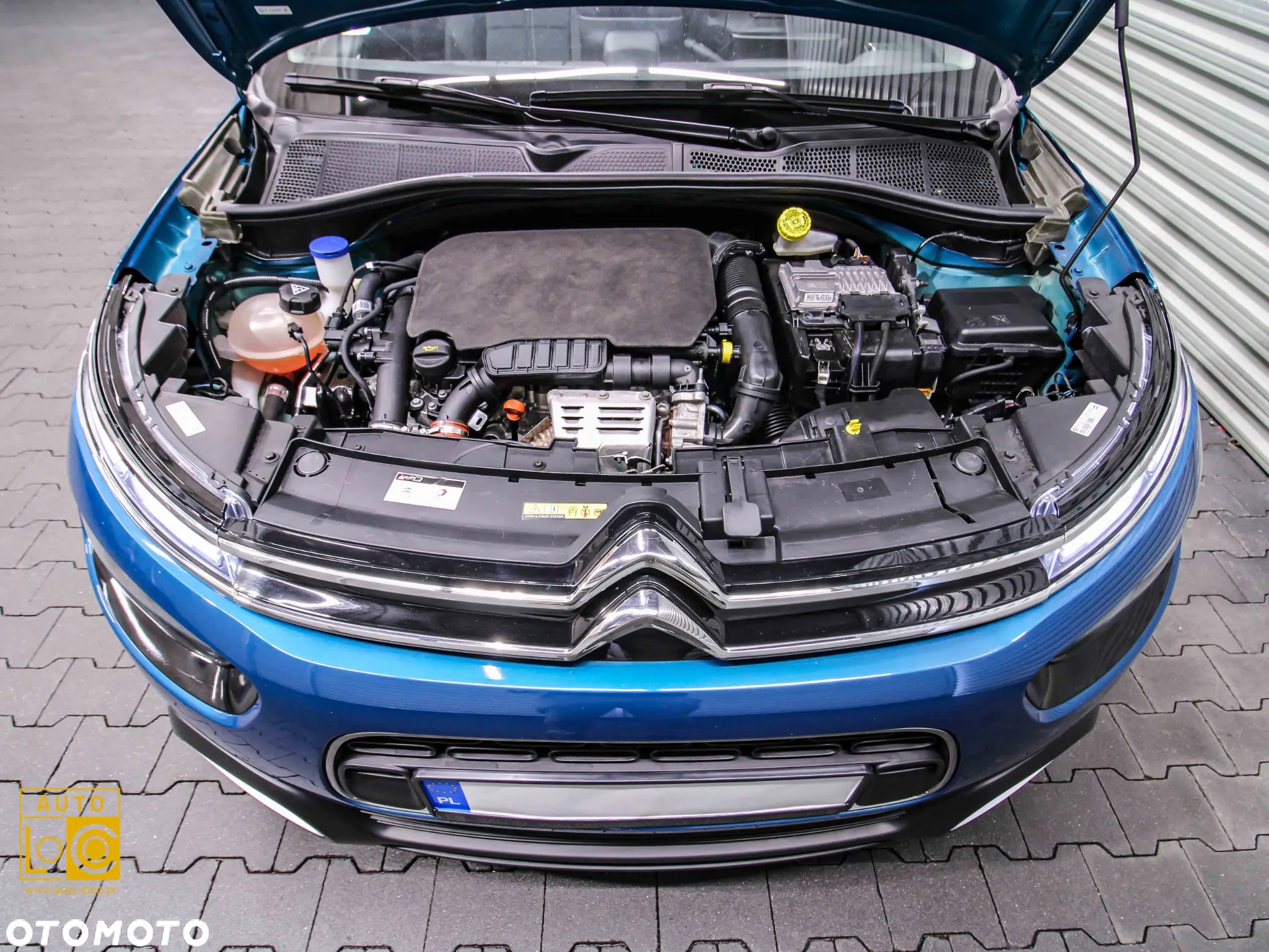 Citroën C4 Cactus 1.2 PureTech GPF Shine S&S - 15