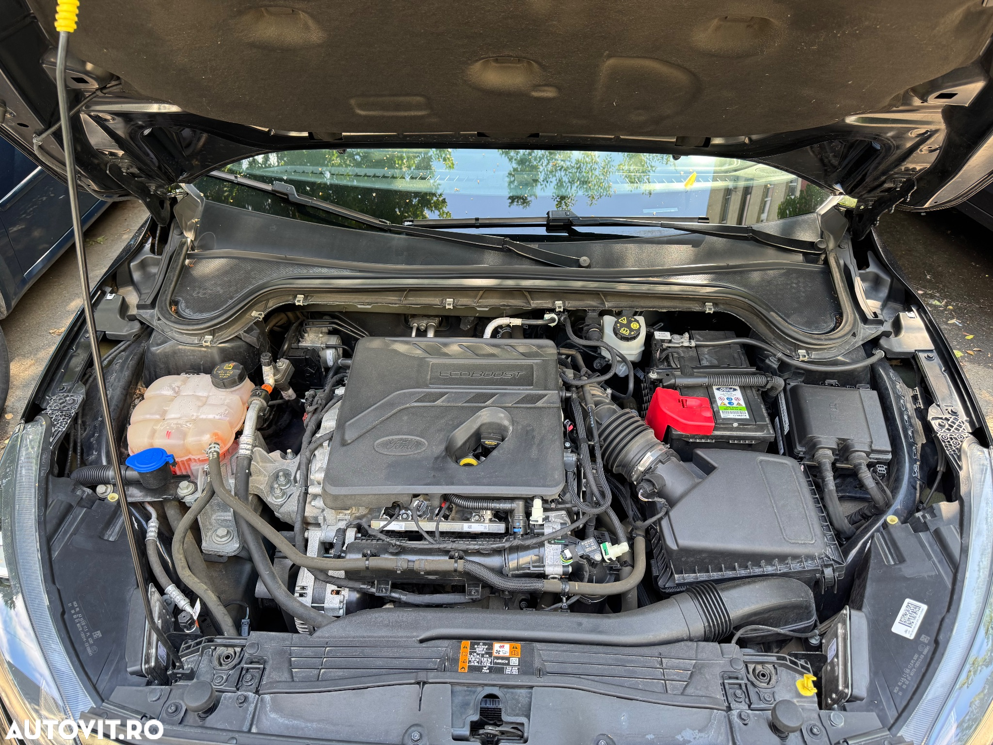 Ford Focus - 7
