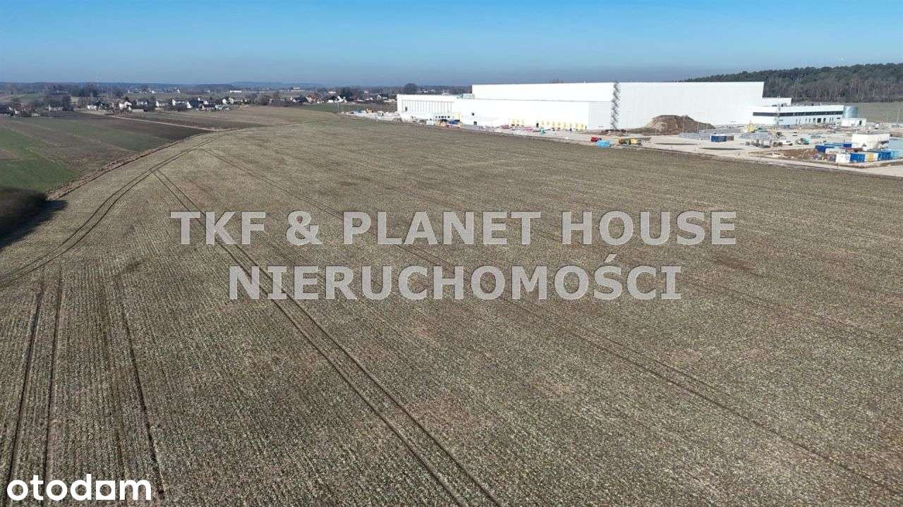 Na sprzedaż teren inwestycyjny 7,6 ha Opoczno - Pełny obrazek: 2/5