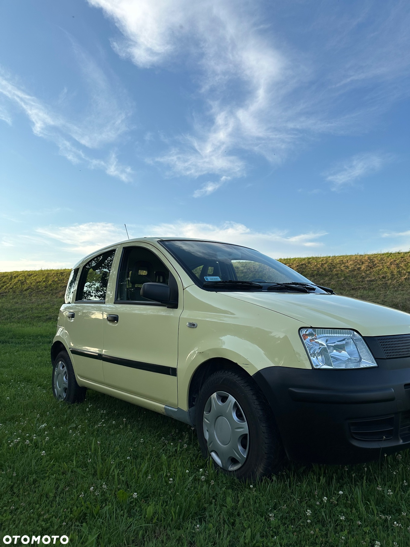 Fiat Panda - 2