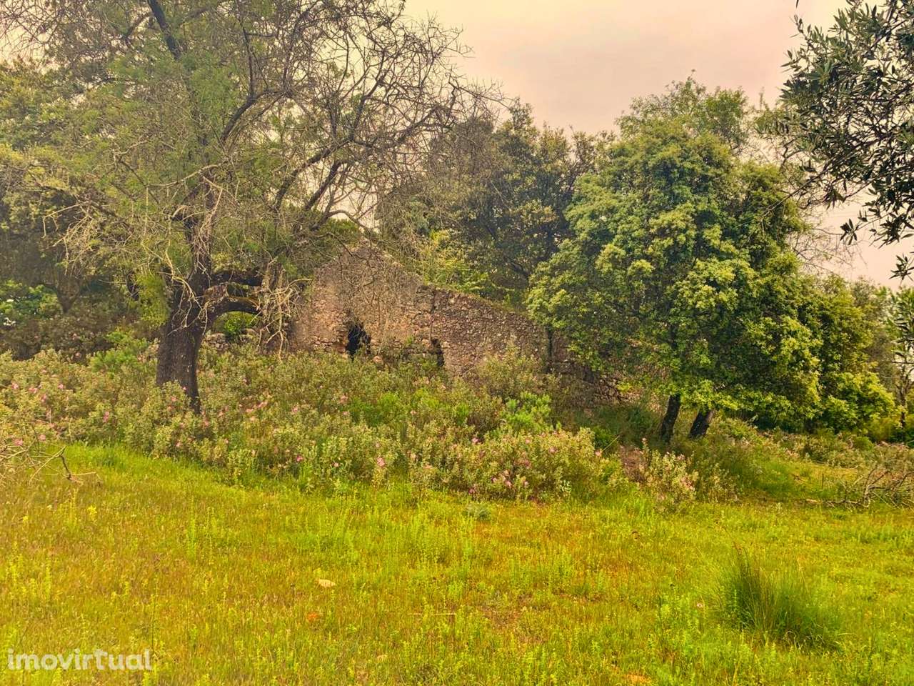 Moradia para Recuperar em Pernes - Grande imagem: 4/8