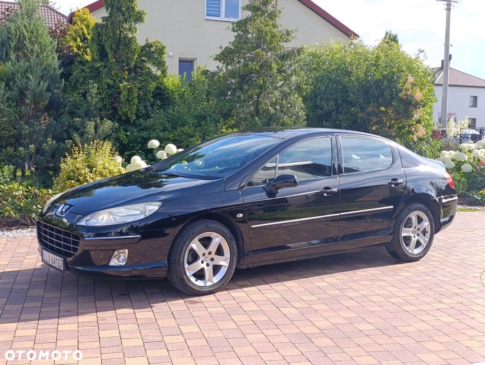 Peugeot 407 - 15
