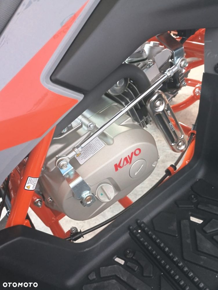 KAYO Inny - 8