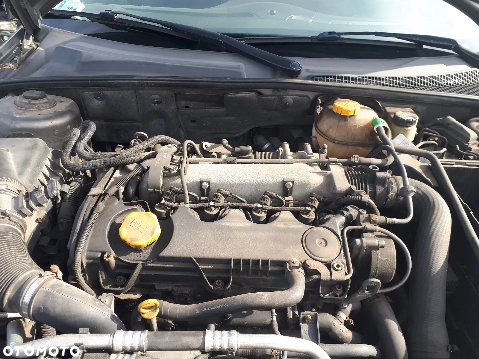 SAAB 9-3 02-07 1.9 TID PAS BEZPIECZEŃSTWA - 21