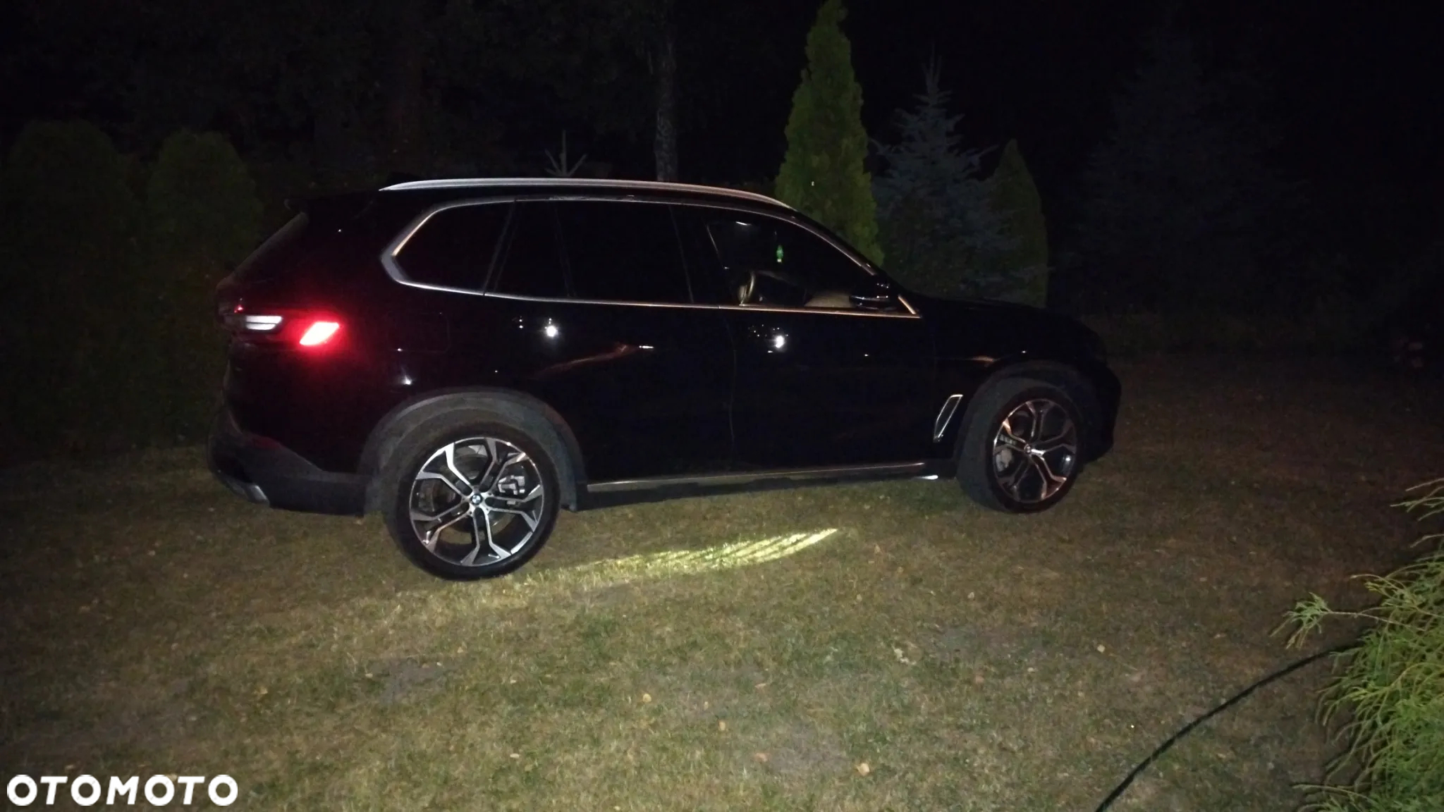 BMW X5 xDrive40i xLine - 12
