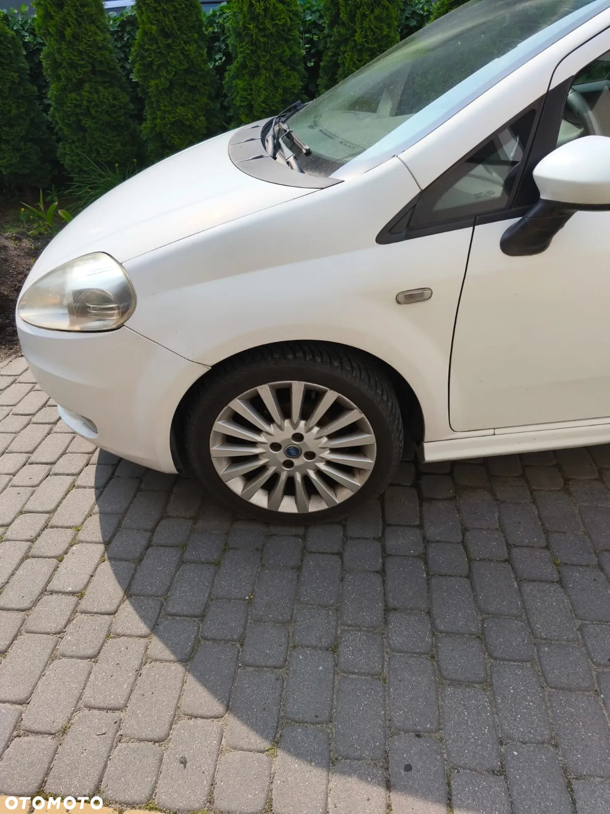 Fiat Punto - 2