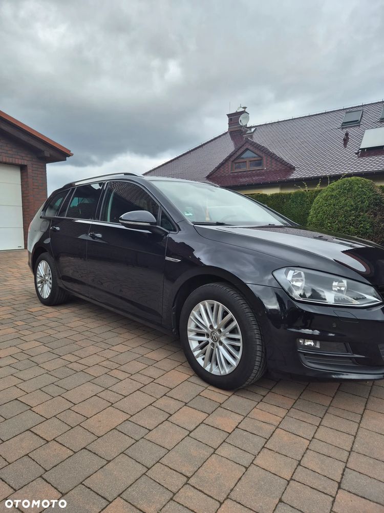 Volkswagen Golf 1.6 TDI BlueMotion Technology Cup - 10