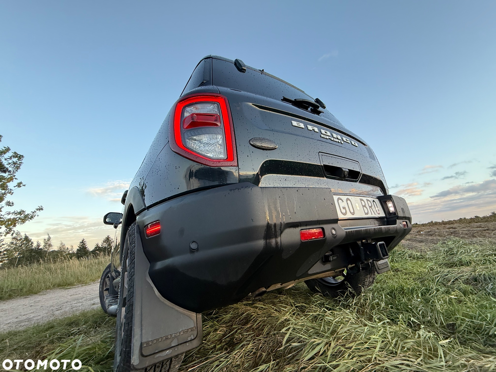 Ford Inny - 9