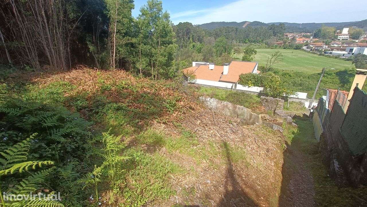 PRÉDIO MISTO ( Urbano e Rústico ) - Oliveira de Azeméis - Grande imagem: 2/8