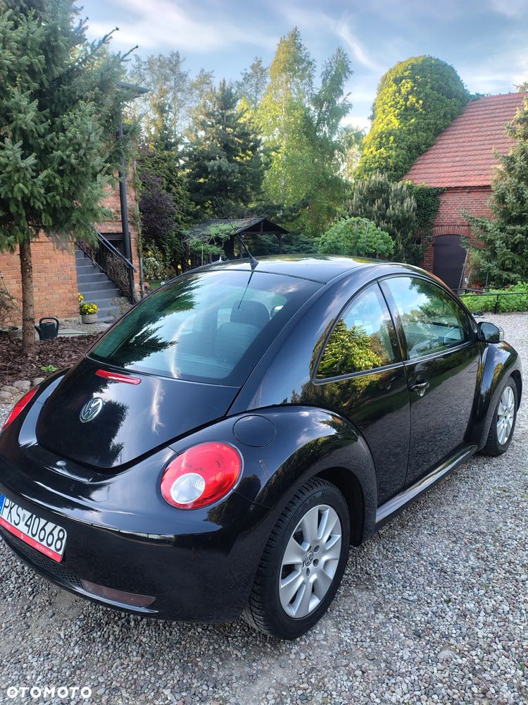 Volkswagen New Beetle 1.4 - 6