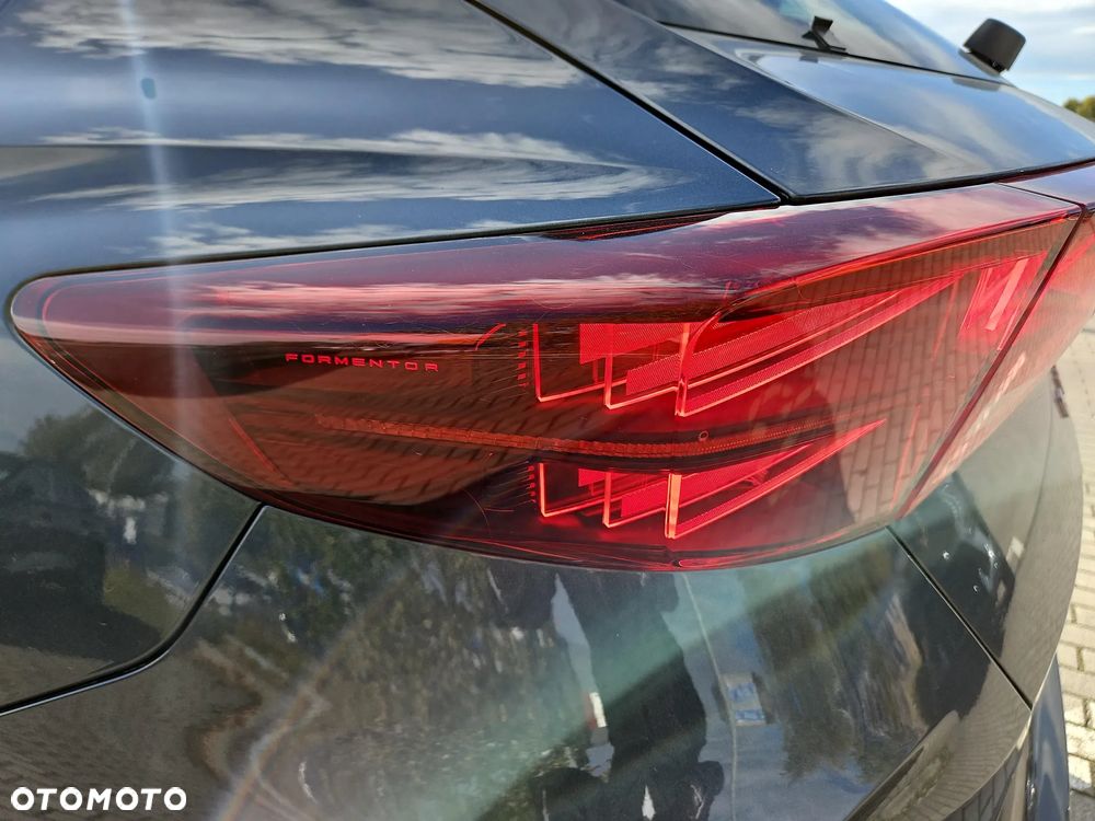 Cupra Formentor 2.0 TSI 4Drive DSG - 17