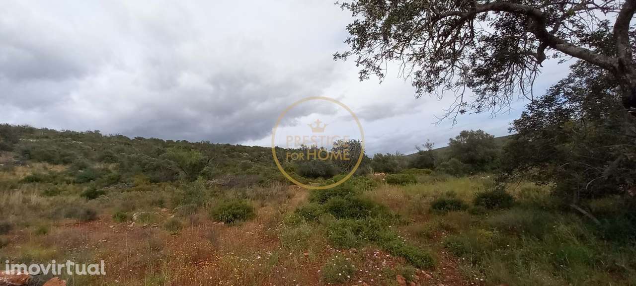 Terreno Rústico com Alfarrobeiras e Amendoeiras - 7.840 m² de Natureza - Grande imagem: 5/18