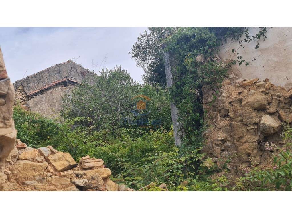 Quintinha 1 hectare | Maxial, Torres Vedras - Grande imagem: 2/4