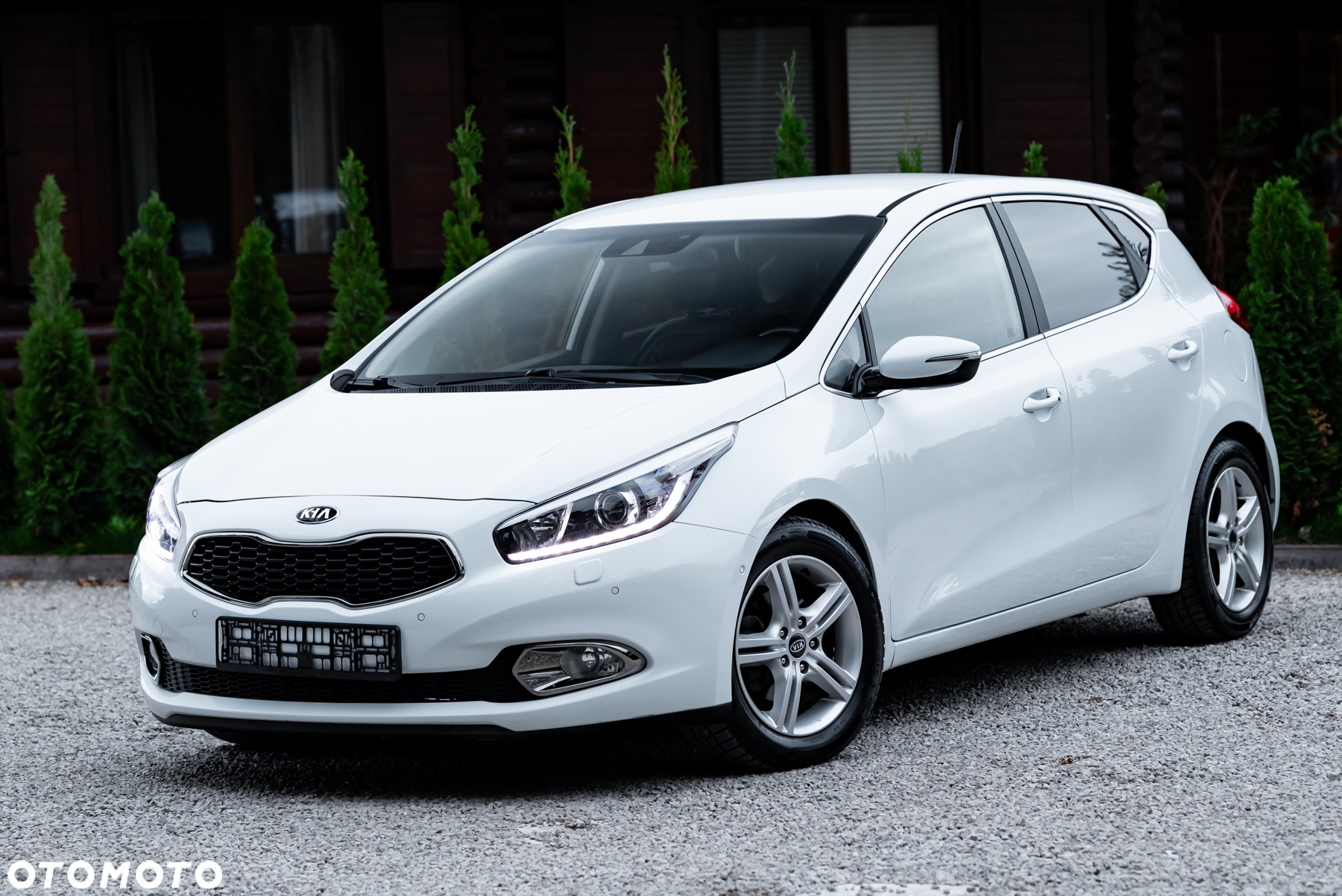 Kia Ceed Cee'd 1.6 GDI L Business Line DCT - 2