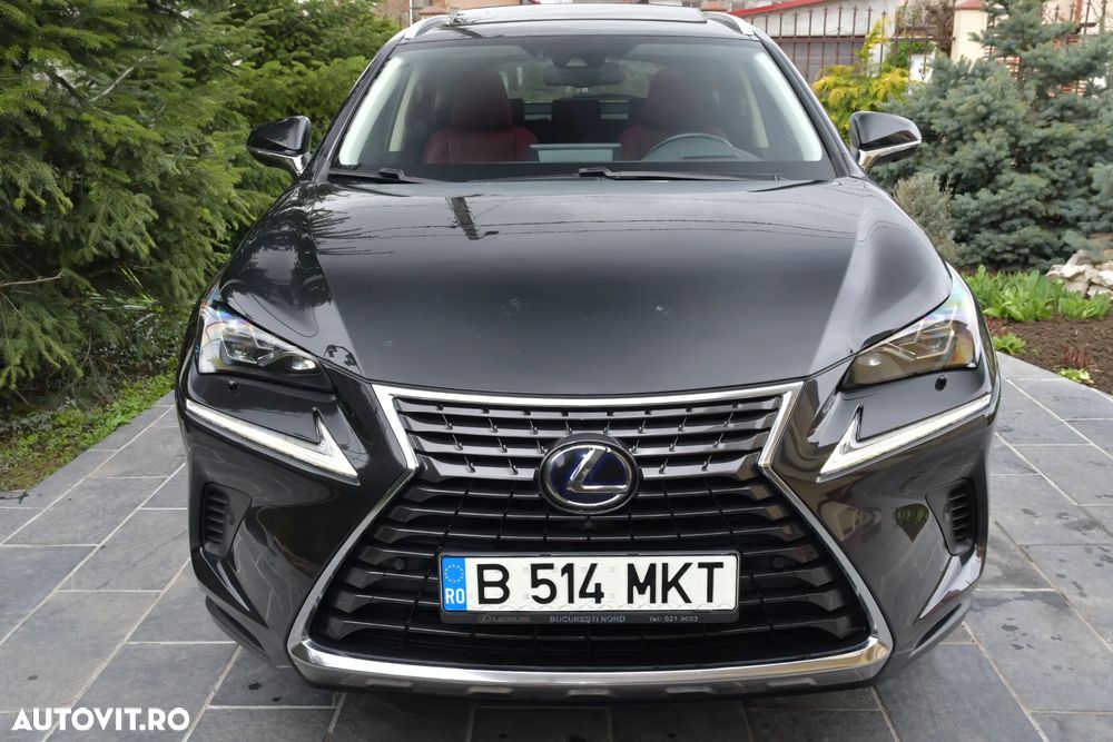 Lexus Seria NX 300h AWD Luxury - 22