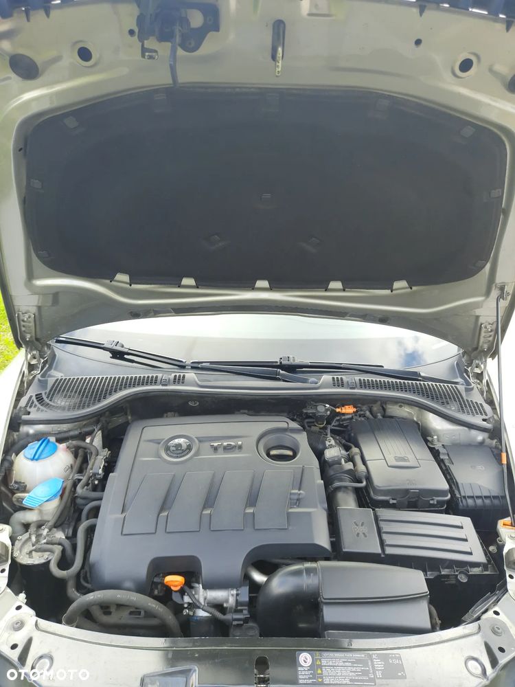 Skoda Octavia 1.6 TDI DPF Ambition Green tec - 19