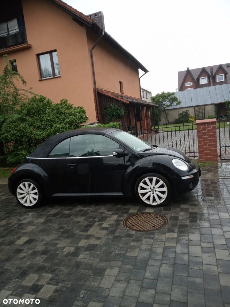 Volkswagen Beetle - 3