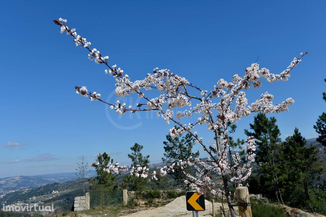 Parcela de Terreno em Paredes de Viadores - Grande imagem: 4/8