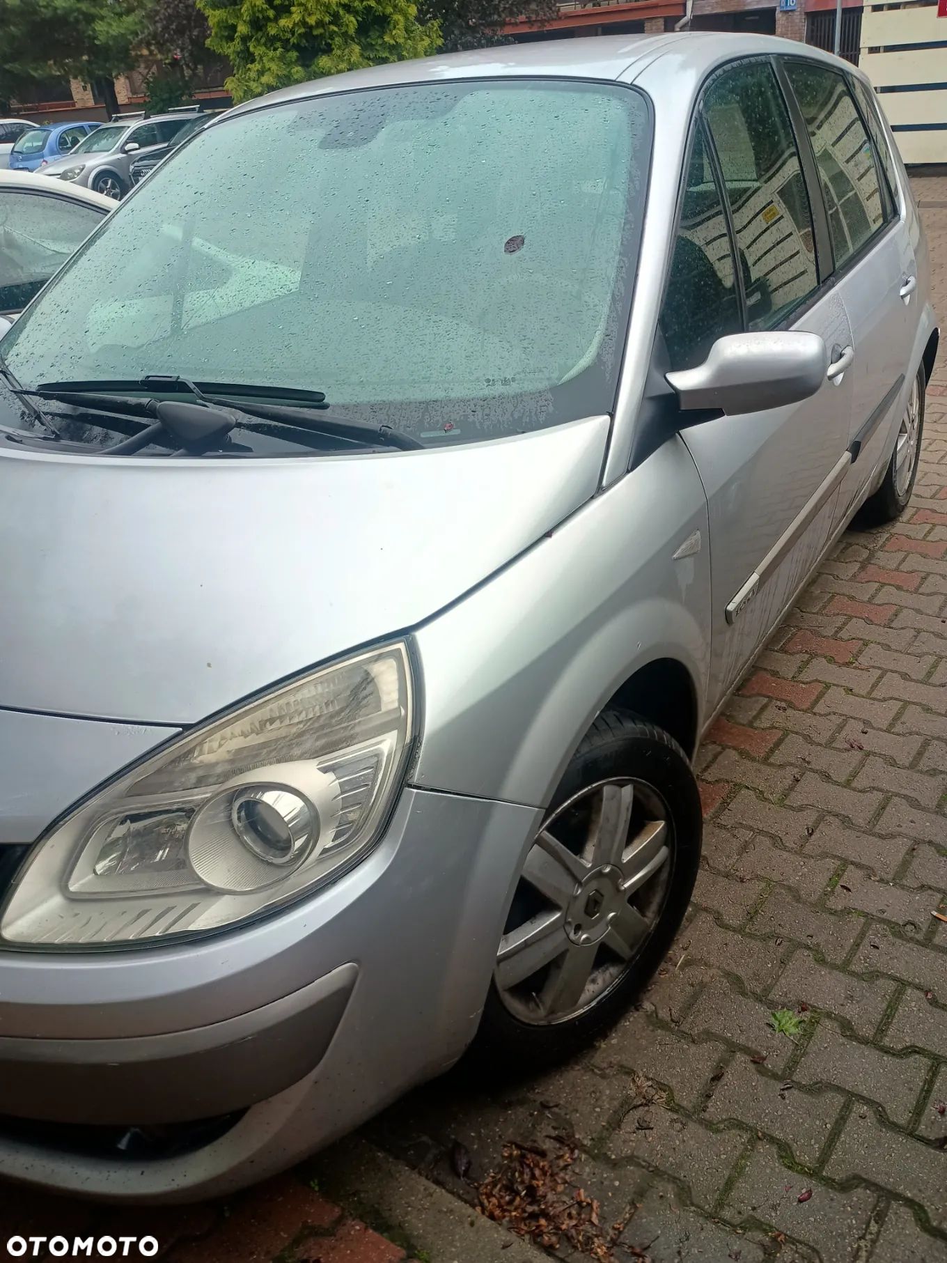 Renault Scenic - 1