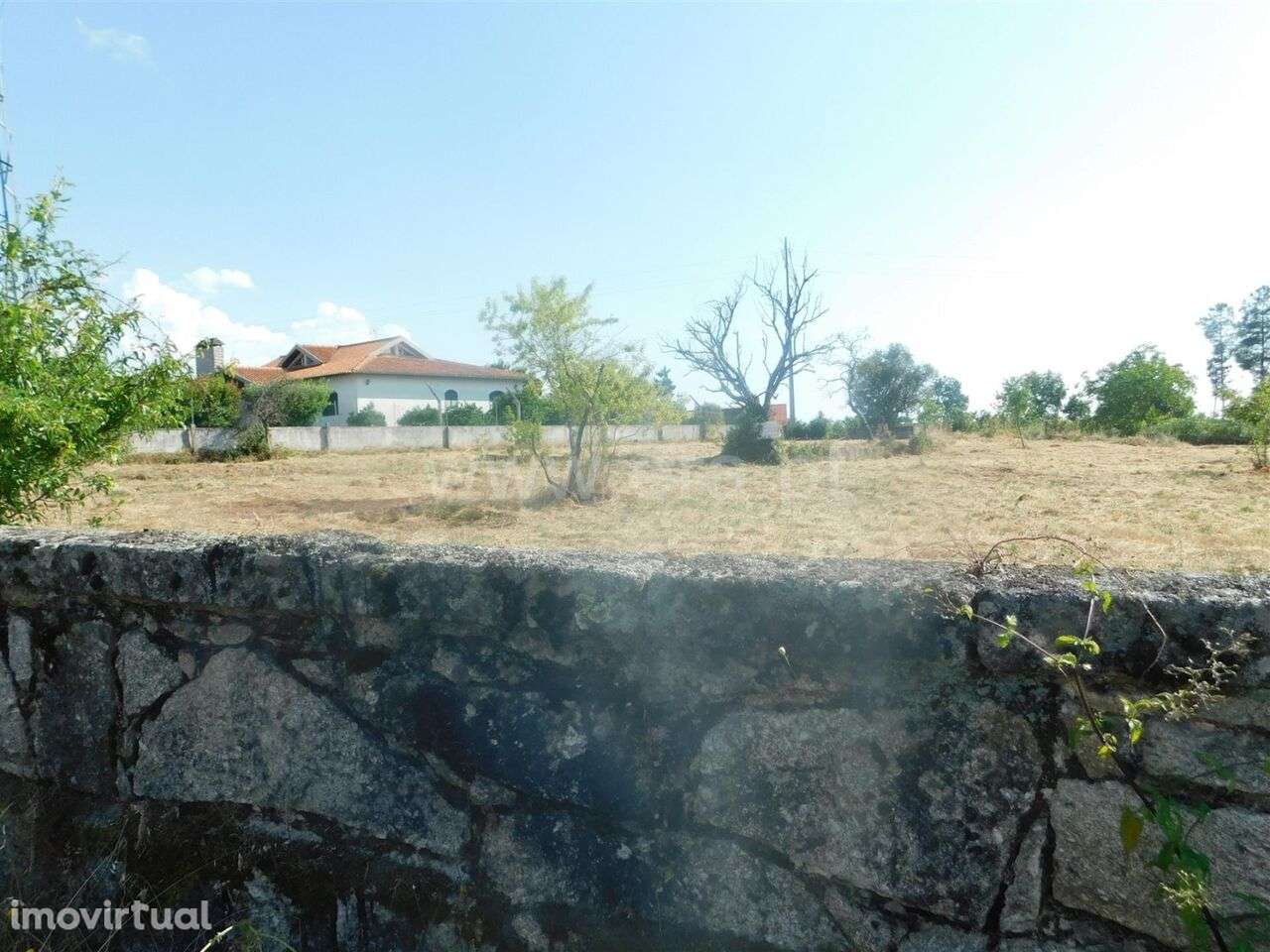 Terreno / Seia, Tourais e Lajes - Grande imagem: 2/2