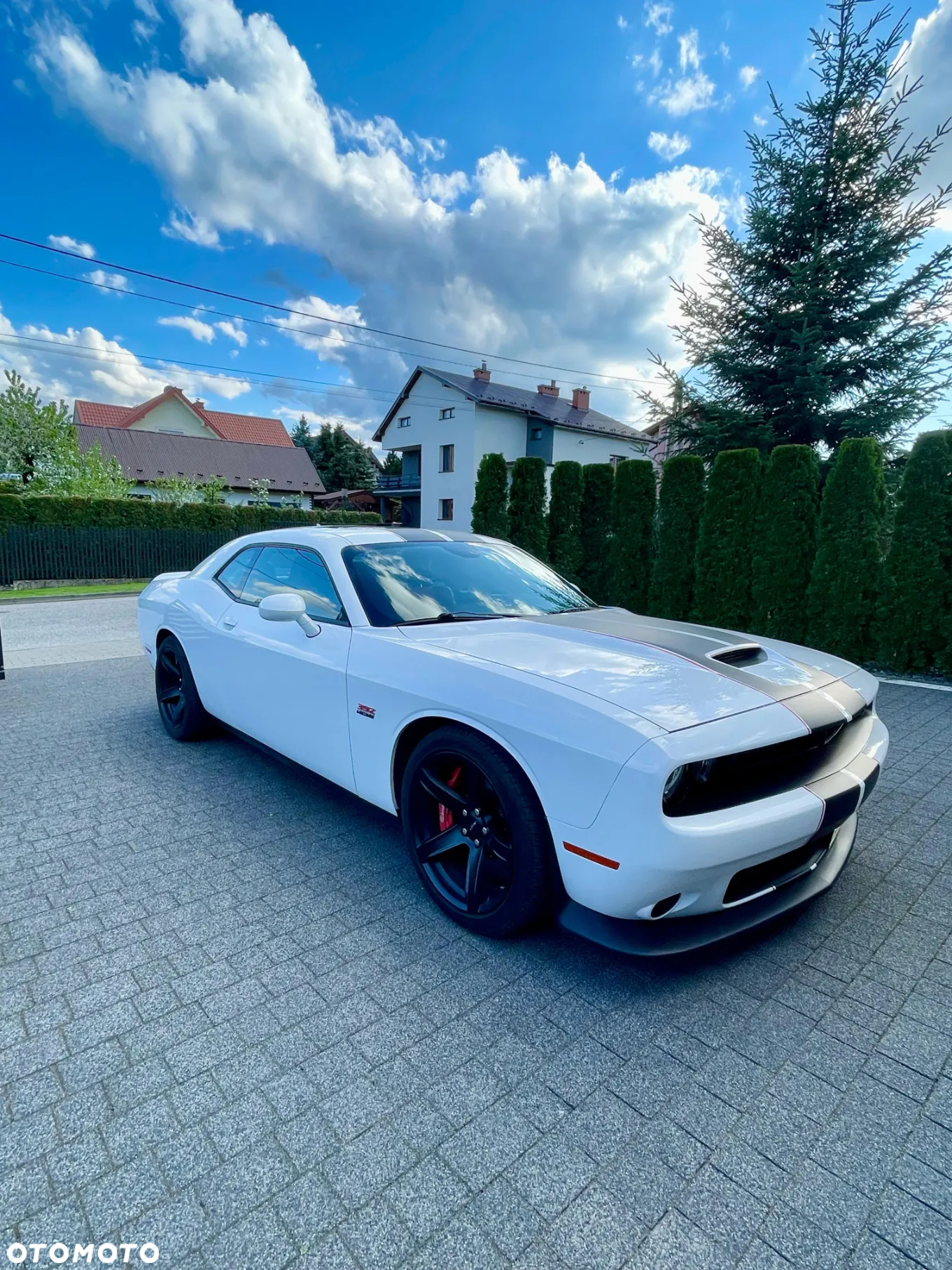 Dodge Challenger Automatik SRT 392 - 3