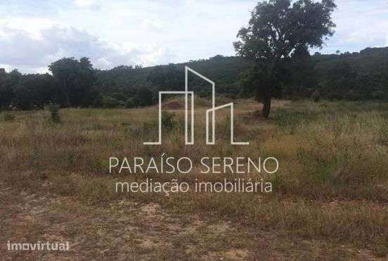 5 Terrenos Rústicos - Grande imagem: 3/3