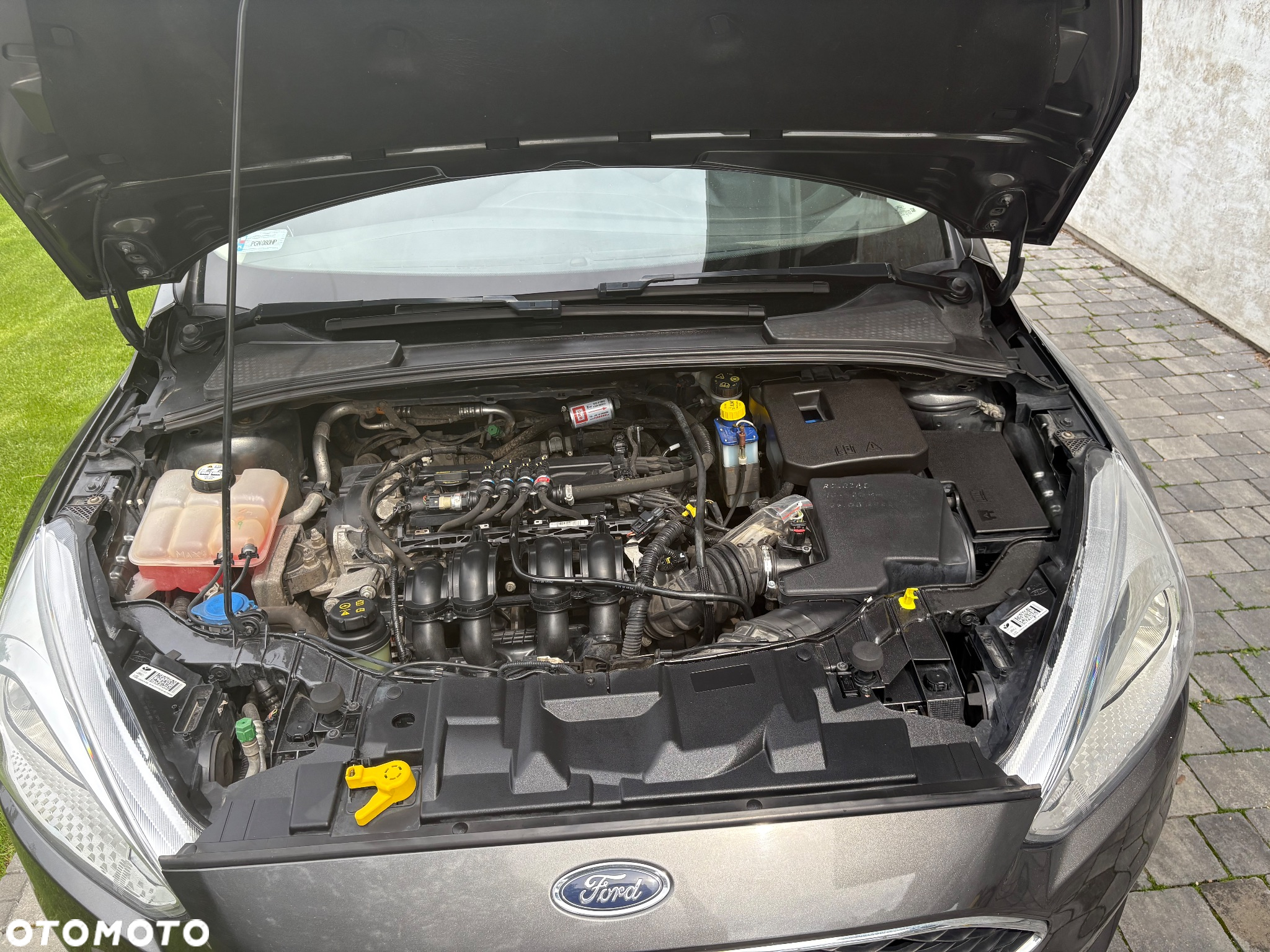 Ford Focus 1.6 Trend - 18