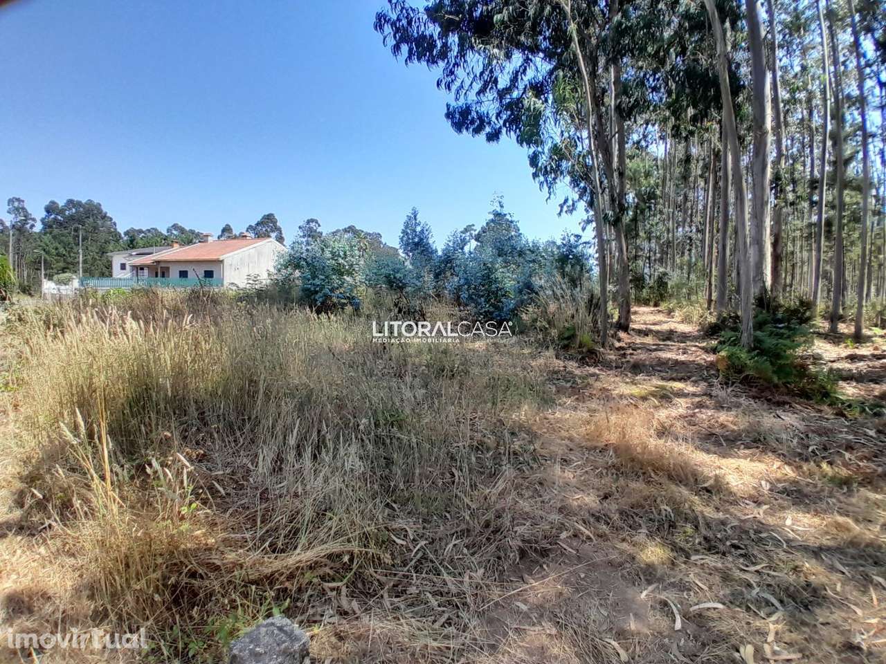 Terreno para construção em Águeda - Grande imagem: 5/10