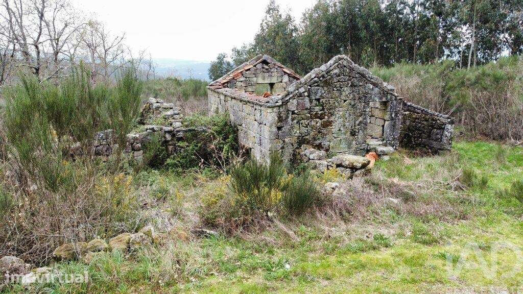 Casa rústica em Cambra e Carvalhal de Vermilhas de 3971 m2 - Grande imagem: 2/37