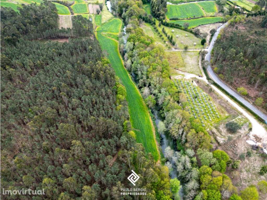 Terreno 60000m2, para fins turísticos junto ao Rio Neiva - Grande imagem: 5/17