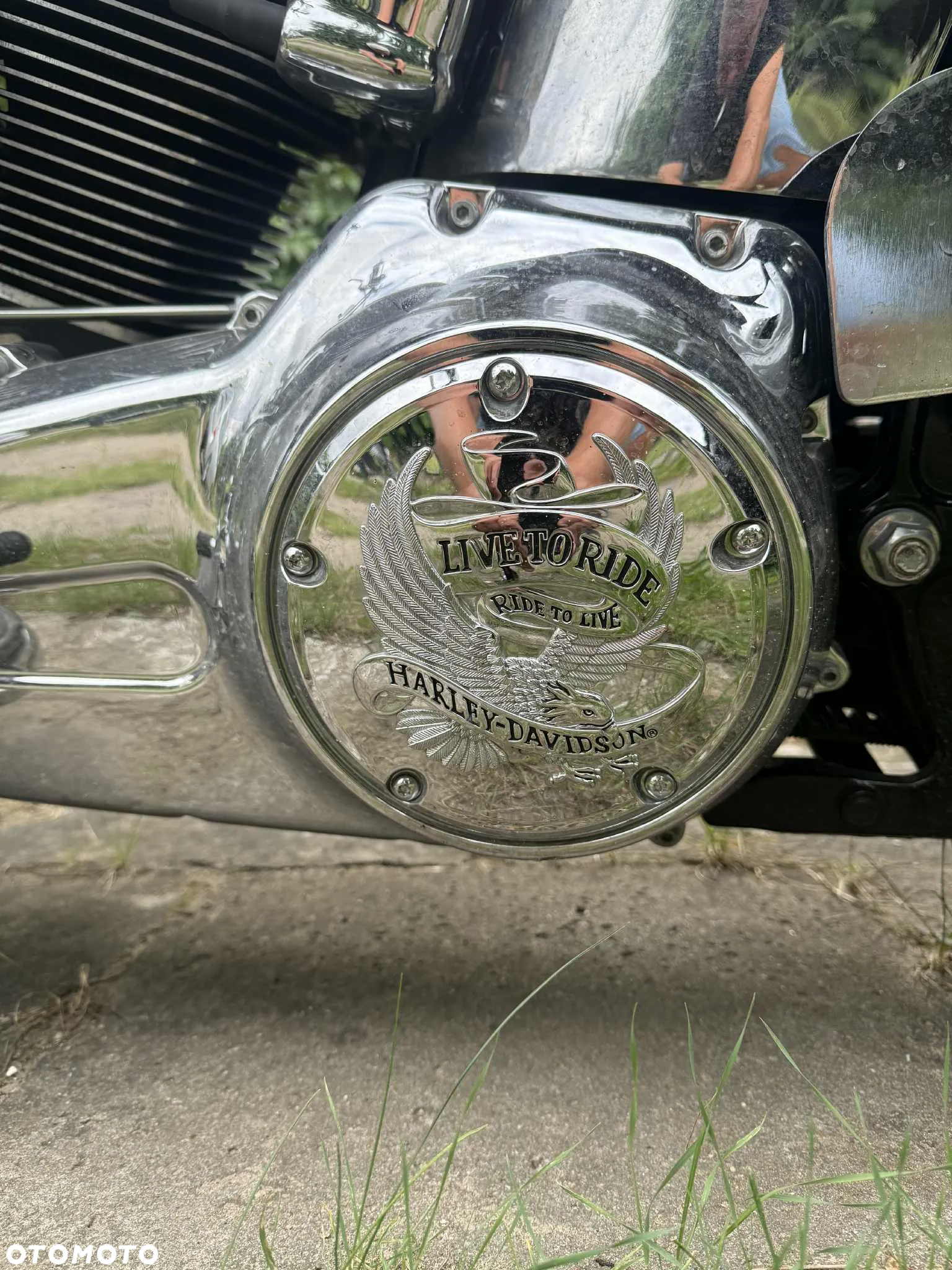 Harley-Davidson Softail Deluxe - 5