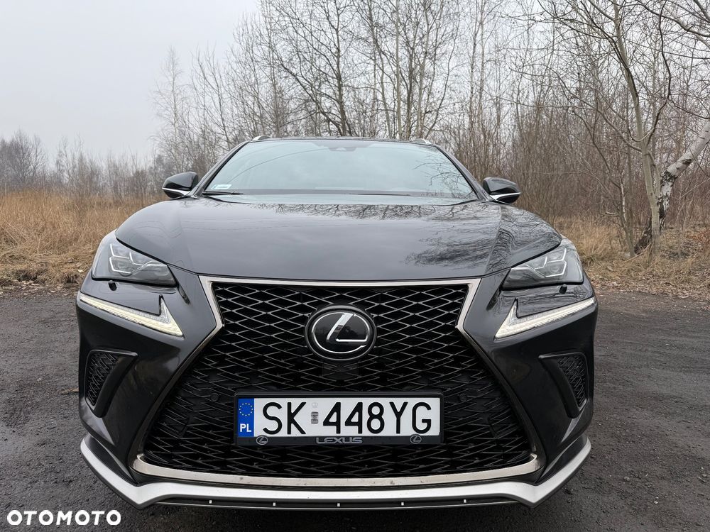 Lexus NX 2019