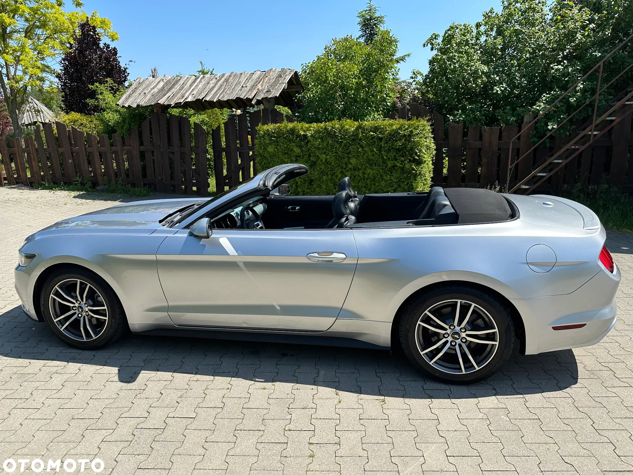 Ford Mustang Cabrio 2.3 Eco Boost - 8