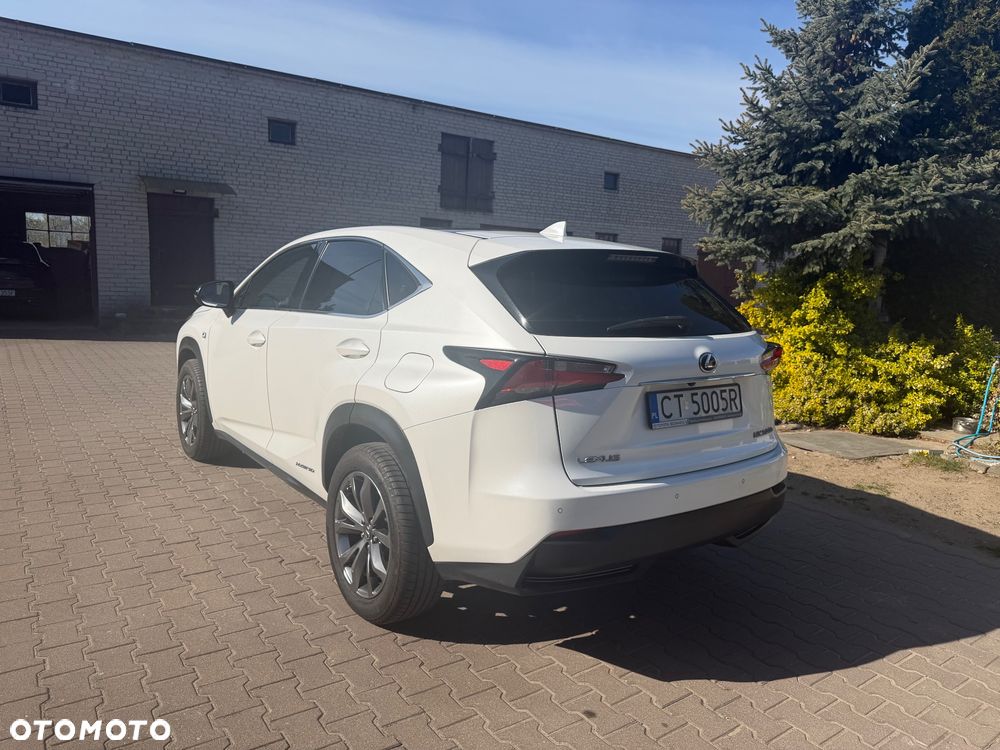 Lexus NX 300h F Sport AWD - 4