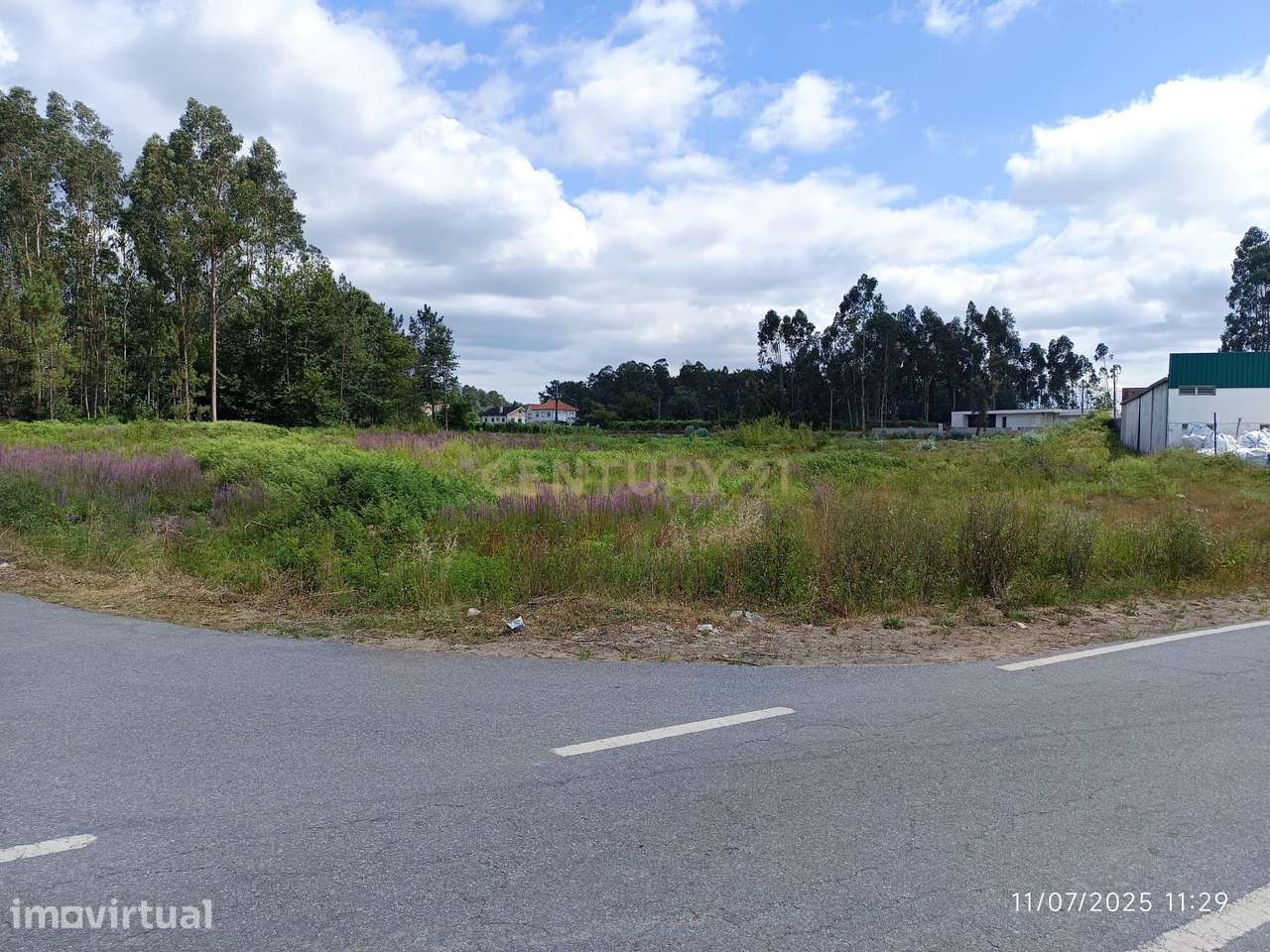 Terreno Industrial 10.000 m² com Excelente Acesso à A3 – Oportunidade - Grande imagem: 2/8