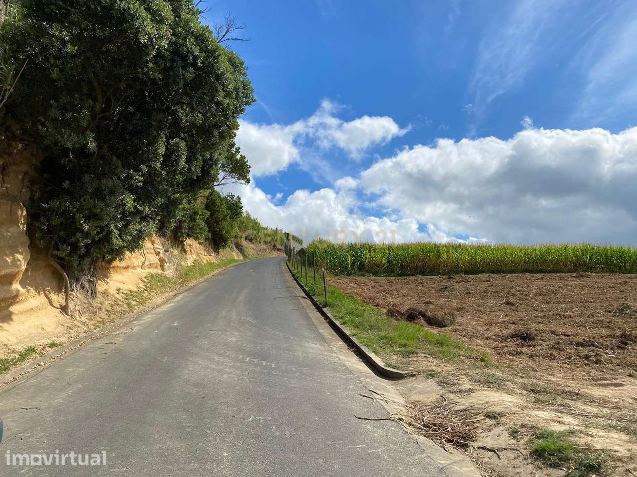 Terreno, 4 500 m², Lomba de São Pedro - Grande imagem: 2/15