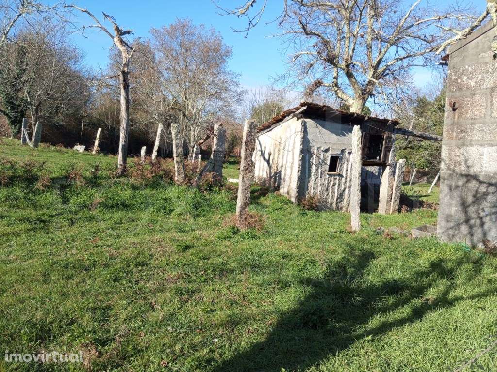 Moradia T3 - Troporiz, Monção - Grande imagem: 3/13