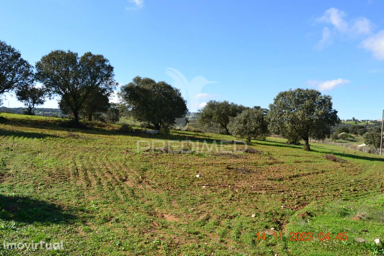 Quinta no Alentejo - Grande imagem: 4/29