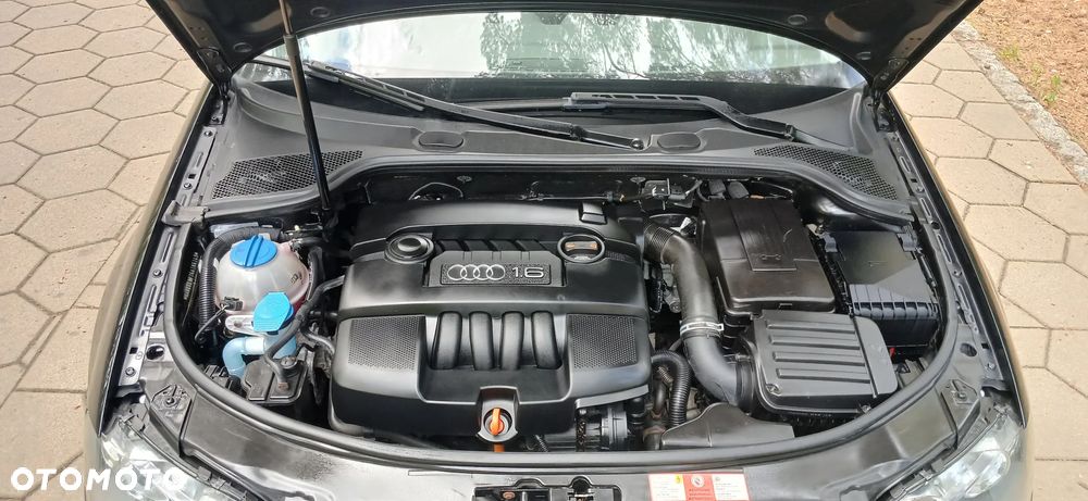 Audi A3 3-drzwiowe 1.6 Attraction - 14