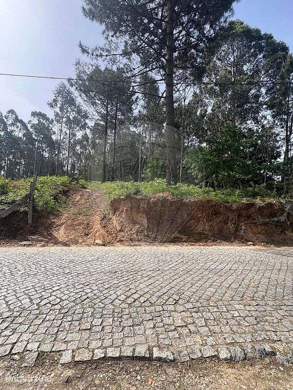 Terreno com PIP aprovado - Grande imagem: 3/14