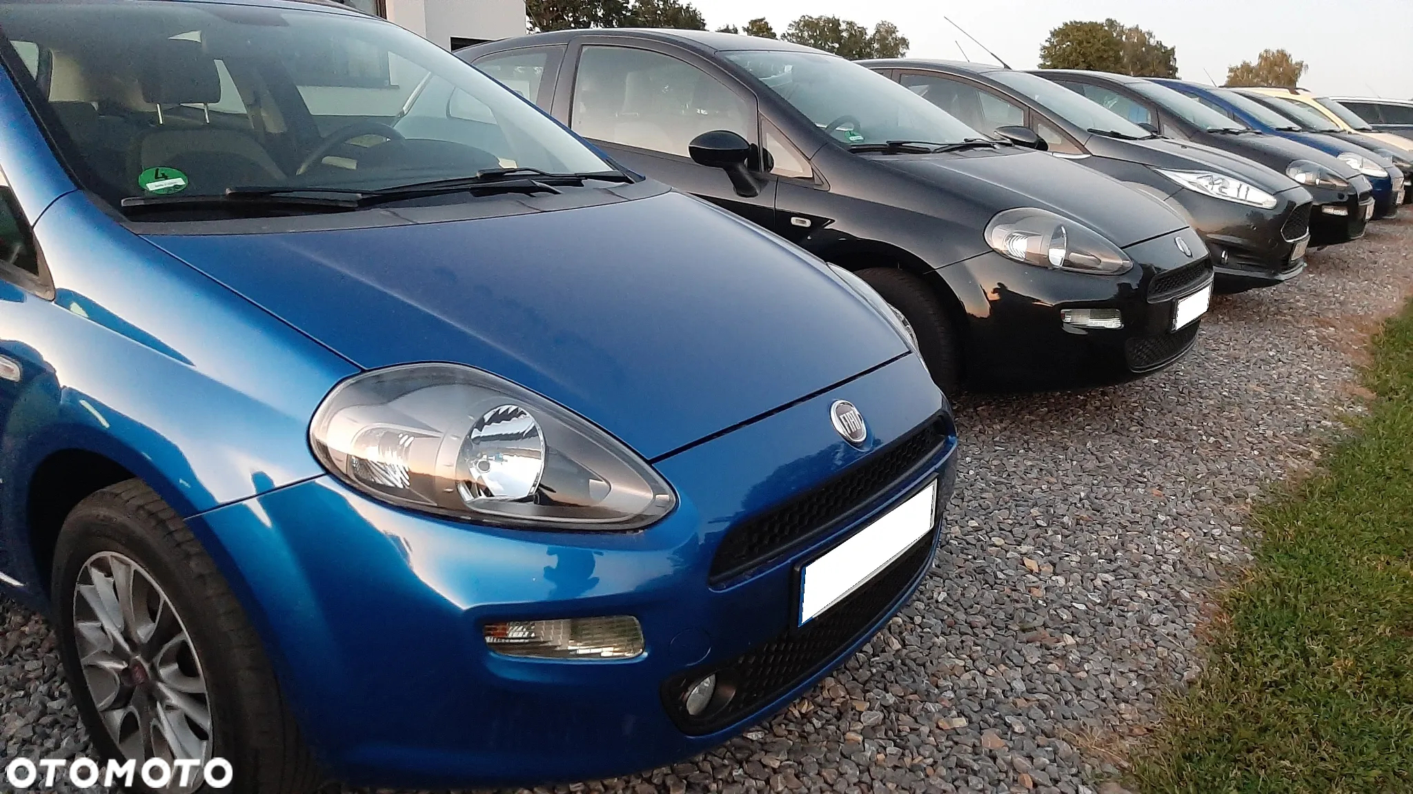 Fiat Punto Evo 1.4 8V Dynamic - 18