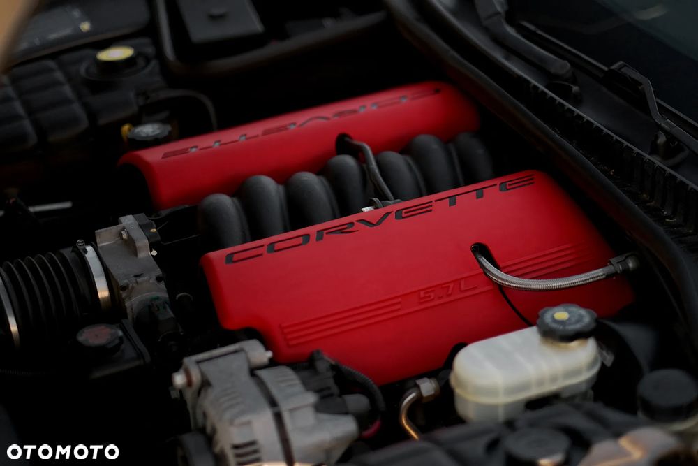 Chevrolet Corvette - 38