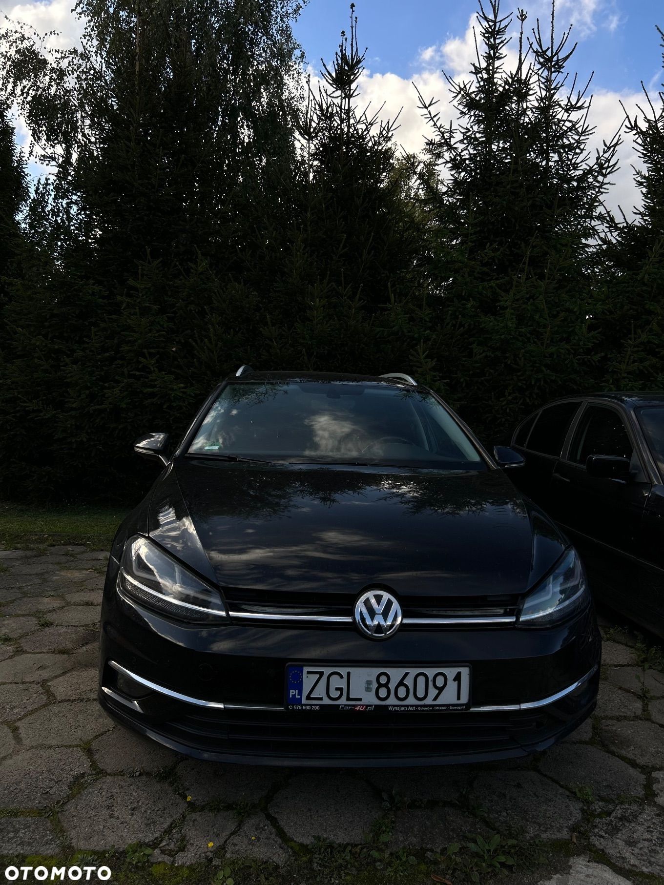 Volkswagen Golf - 1